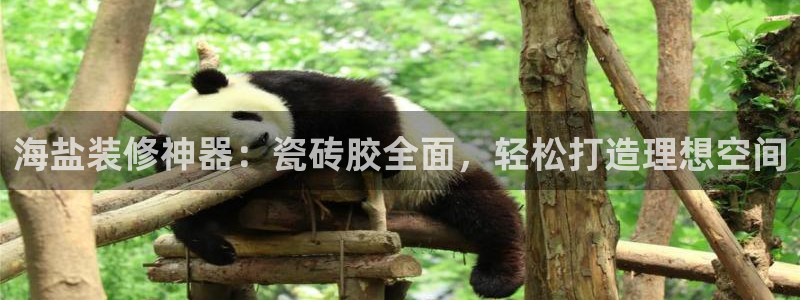 杏鑫平台正规吗可信吗