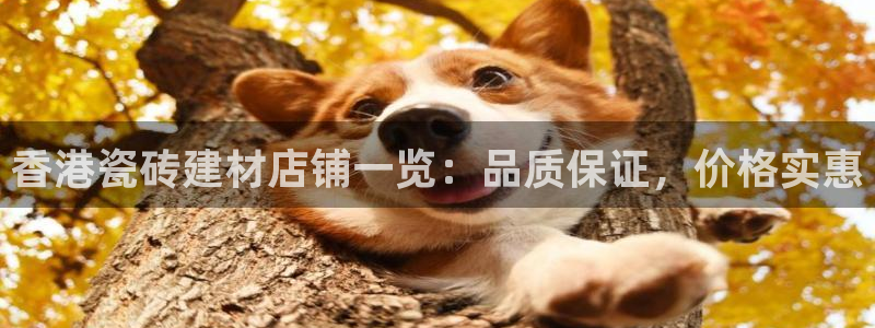 杏鑫平台直属