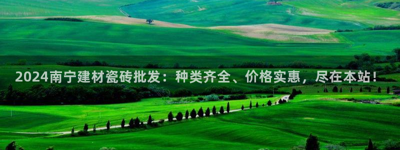 杏鑫娱乐开发团队