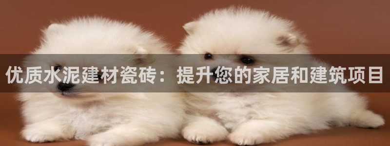 杏鑫平台怎么样黑钱吗安全吗是真的吗