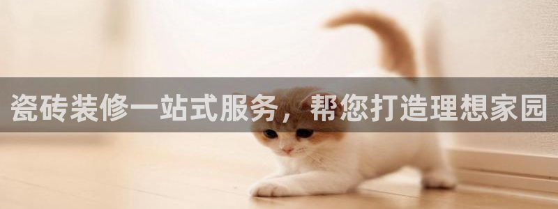 杏鑫官网