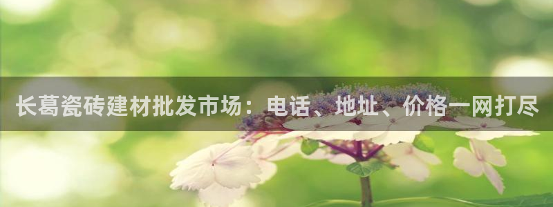 杏鑫平台招商电话号码