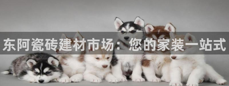 杏鑫娱乐测速