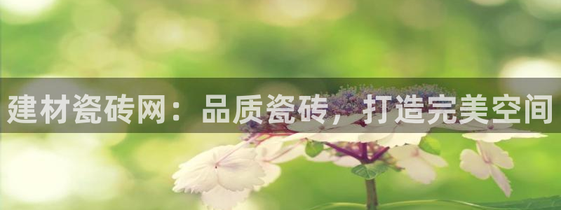 杏鑫注册平台官方网站是什么