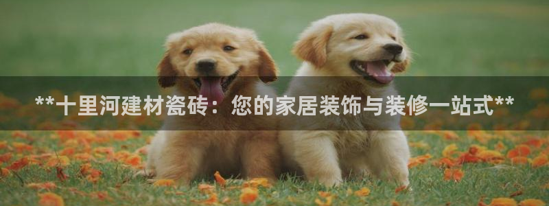 杏鑫平台招商怎么样