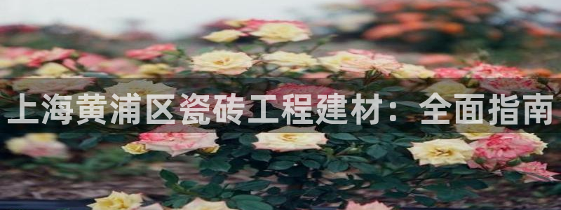 杏鑫娱乐官网首页