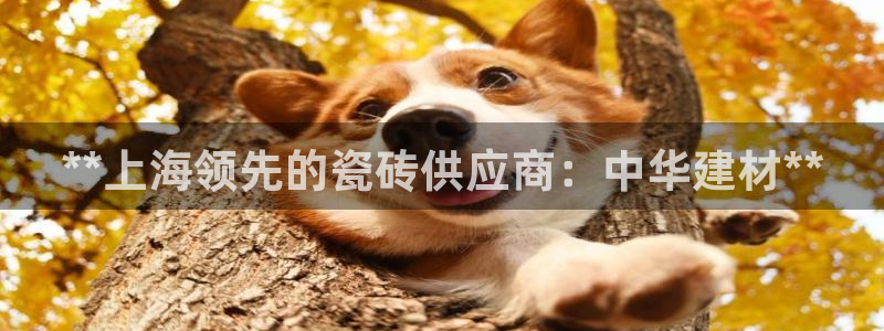 杏鑫娱乐官方网站客户端