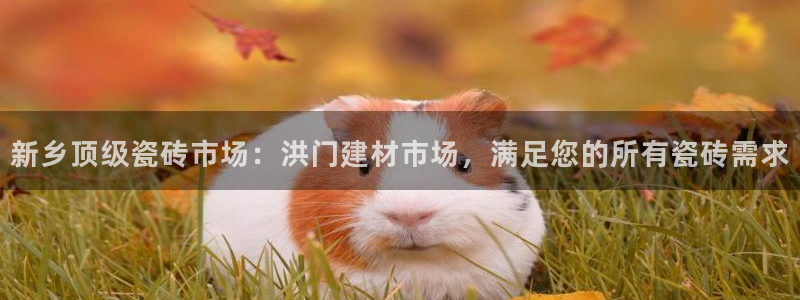 杏鑫娱乐靠谱吗