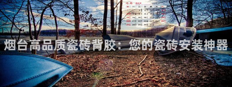 杏鑫平台野马联盟怎么样