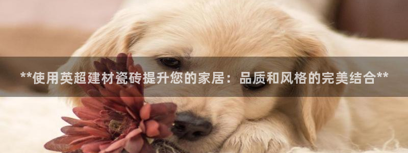 杏鑫平台代理怎么做的