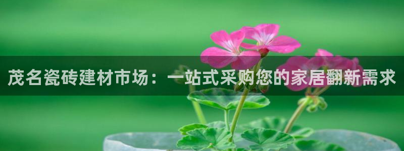 杏鑫平台注册网址是多少