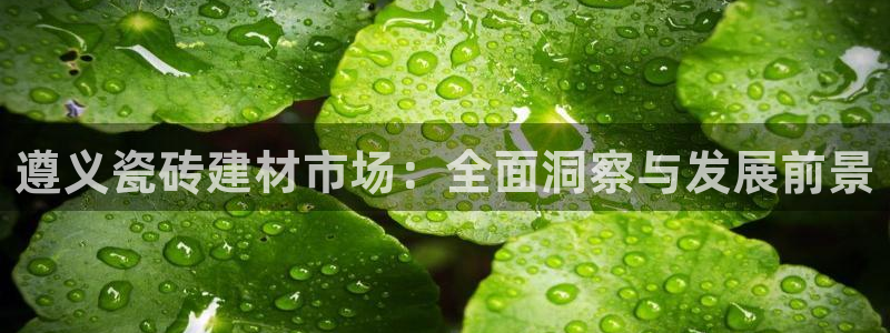 杏鑫平台怎么样黑钱吗是真的吗