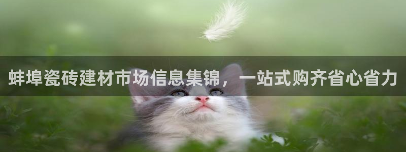 杏鑫平台代理