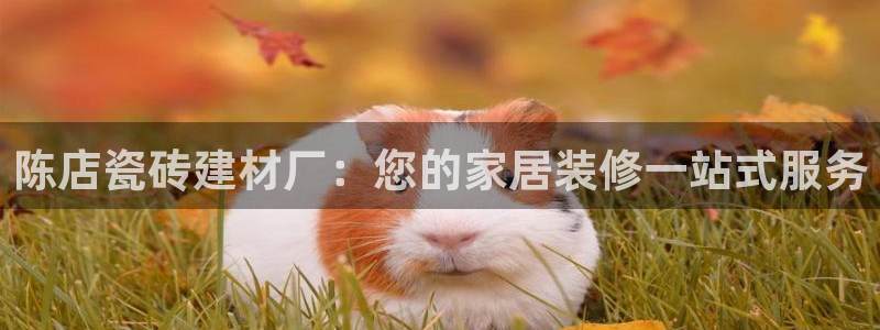 杏鑫3主管