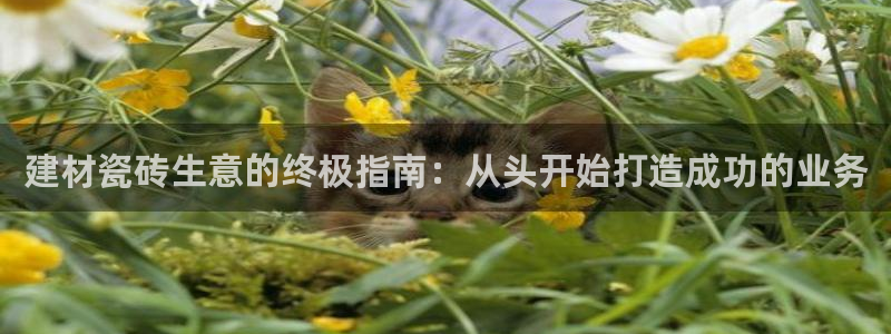 杏鑫平台野马联盟怎么样