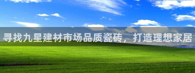 杏鑫平台登录地址