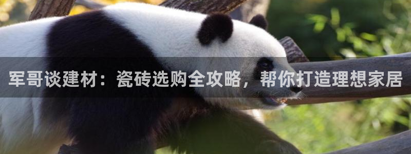 杏鑫娱乐平台