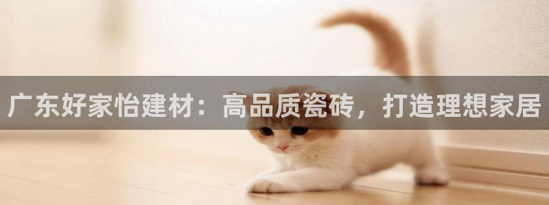 杏鑫平台代理注册流程视频