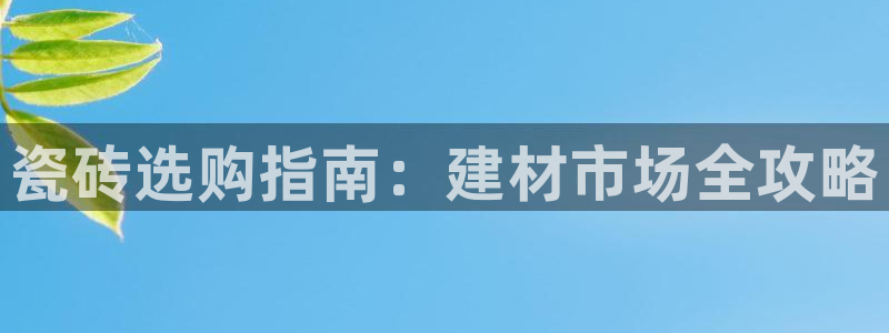 杏鑫平台注册地址是哪里