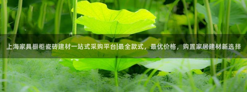 杏鑫平台登录地址是什么