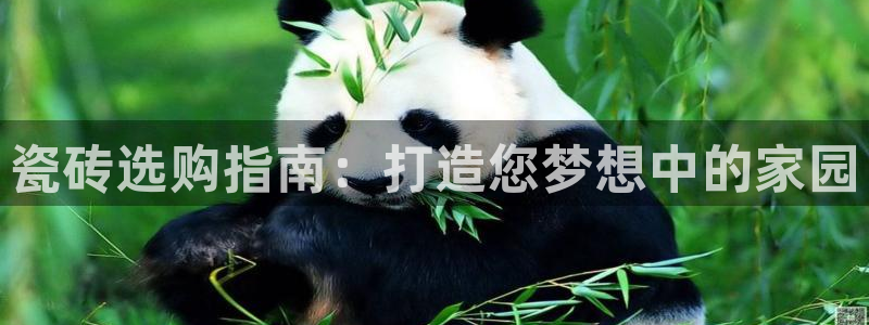 杏鑫娱乐平台