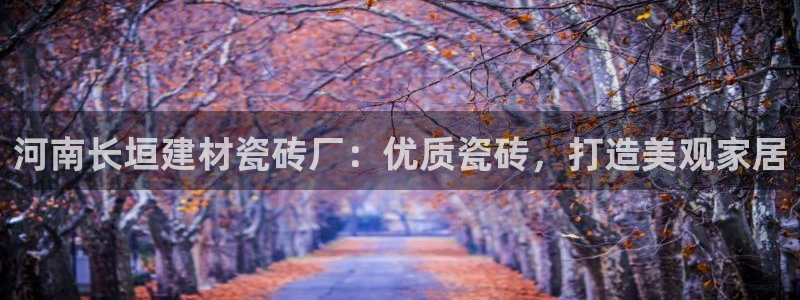 杏鑫平台登录