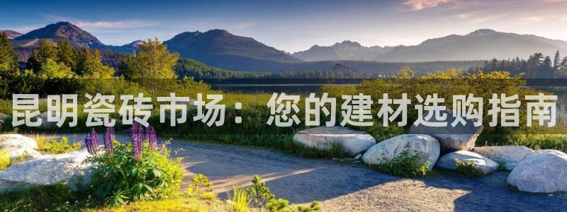 杏鑫平台招商怎么样