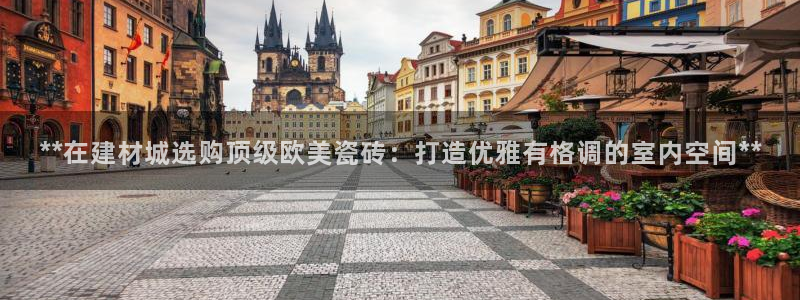杏鑫代理注册资金多少