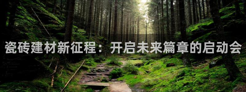 杏鑫平台平台