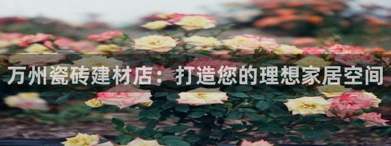 杏鑫平台代理怎么样啊