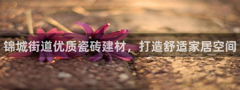 杏鑫官网注册账号密码是多少