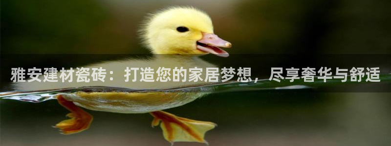 杏鑫娱乐官方网站客户端