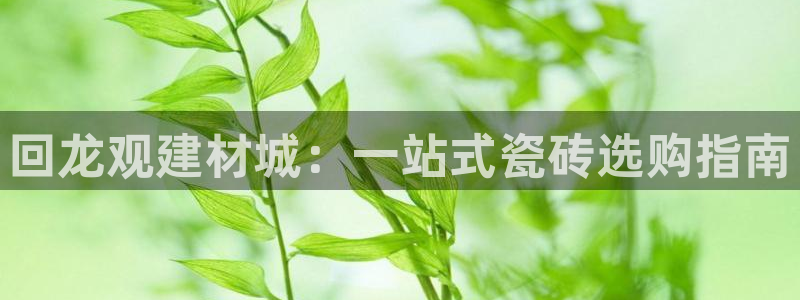 杏鑫平台代理注册登录不了怎么办呀苹果