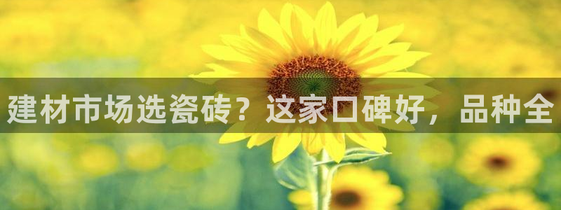 杏鑫平台怎么样
