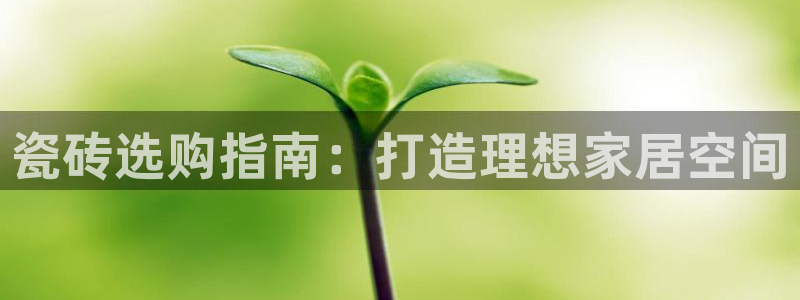 杏鑫平台注册入口