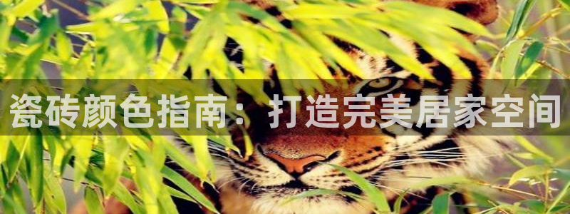 杏鑫平台野马联盟
