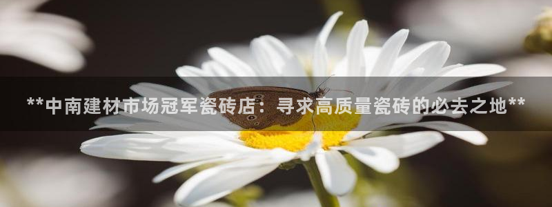 杏鑫娱乐官方网站客户端下载