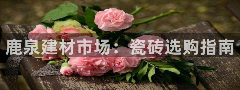 杏鑫平台招商