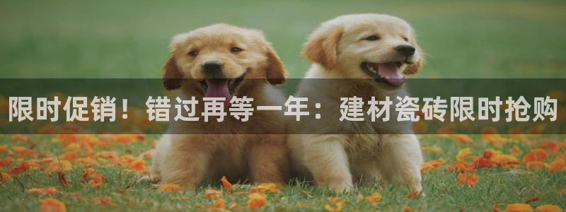 杏鑫平台登录注册