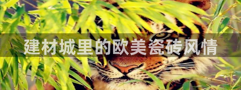 杏鑫注册登录网址是多少