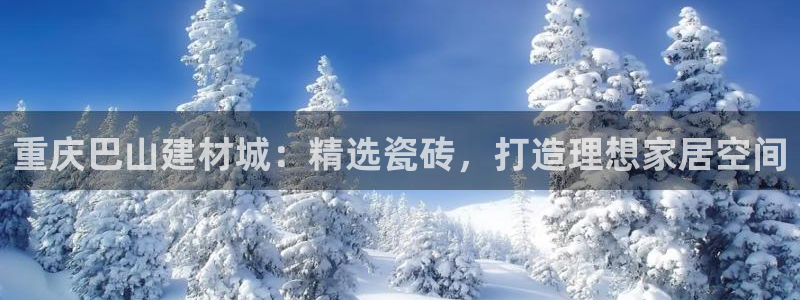 杏鑫娱乐官网登录