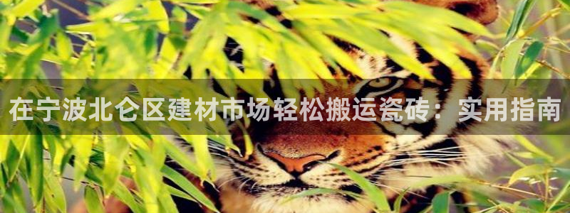 杏鑫平台怎么样黑钱吗是真的吗还是假的