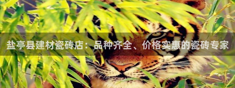 杏鑫娱乐官方网站客户端下载