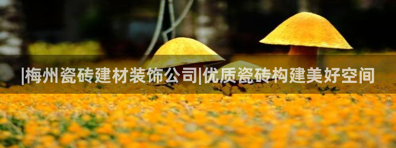 杏鑫娱乐官网下载