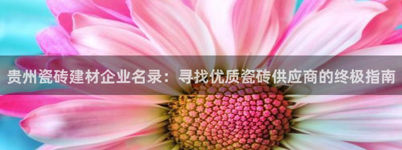 杏鑫平台号7O777