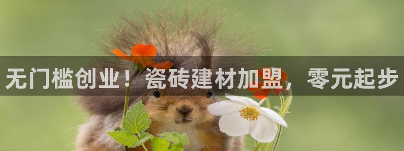 杏鑫娱乐是真的吗