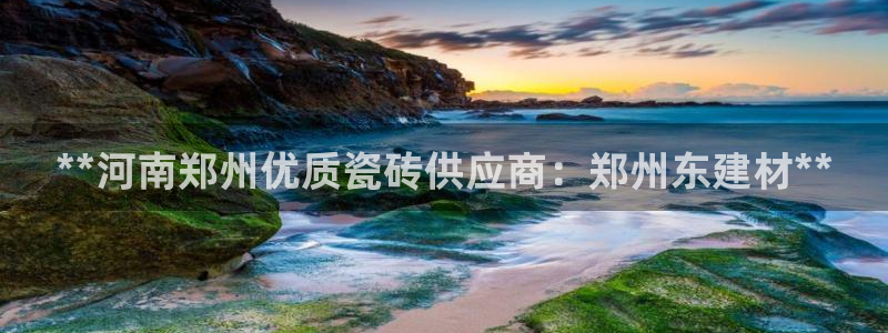 杏鑫官方平台怎么样