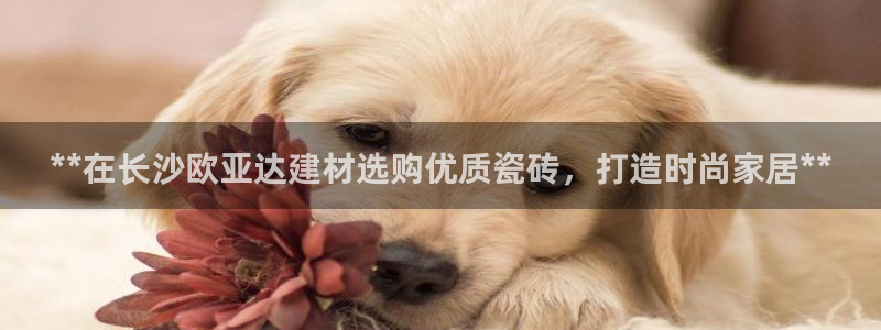 杏鑫平台怎么样黑钱吗是真的吗知乎