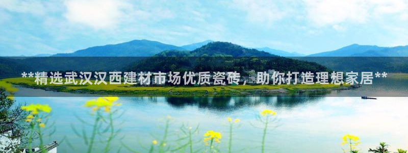 杏鑫代理注册资金多少