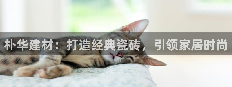 杏鑫平台直属